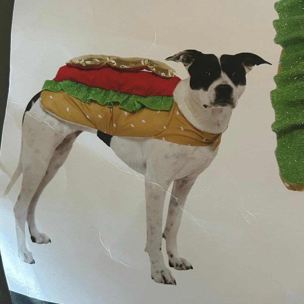 Vibrant Life Hot Dog Dog Costume Medium 20–50 lb Halloween Pet Outfit